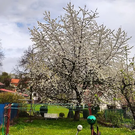 Chata Vrcov Vrcov